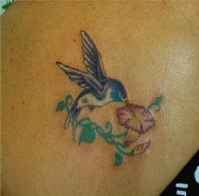 Birds tattoos, Humming Bird tattoos, Tattoos of Birds, Tattoos of Humming Bird, Birds tats, Humming Bird tats, Birds free tattoo designs, Humming Bird free tattoo designs, Birds tattoos picture, Humming Bird tattoos picture, Birds pictures tattoos, Humming Bird pictures tattoos, Birds free tattoos, Humming Bird free tattoos, Birds tattoo, Humming Bird tattoo, Birds tattoos idea, Humming Bird tattoos idea, Birds tattoo ideas, Humming Bird tattoo ideas, flower and hummingbird pics tattoos